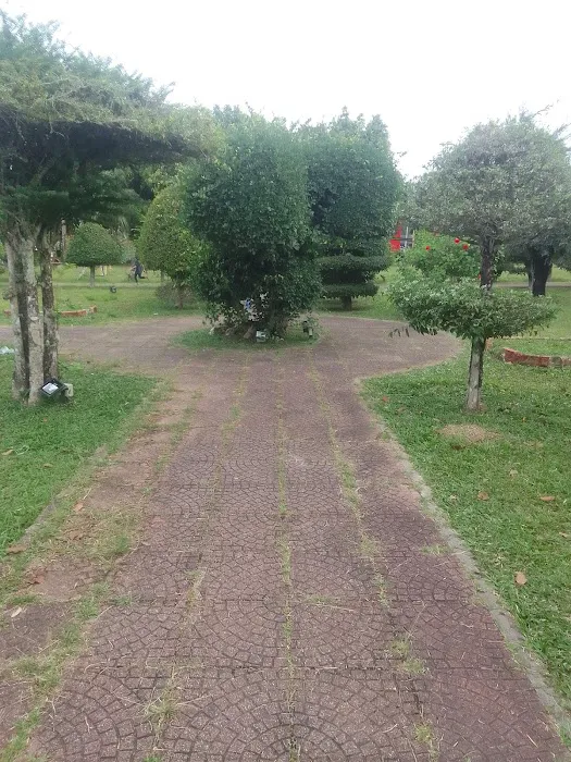 Taman Bonsai Pasir Puteh Picture 2