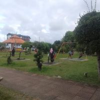 Taman Bonsai Pasir Puteh ico