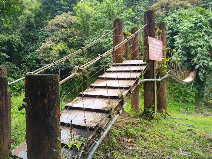 Hanging Bridge Of Sungai Papan Picture 9