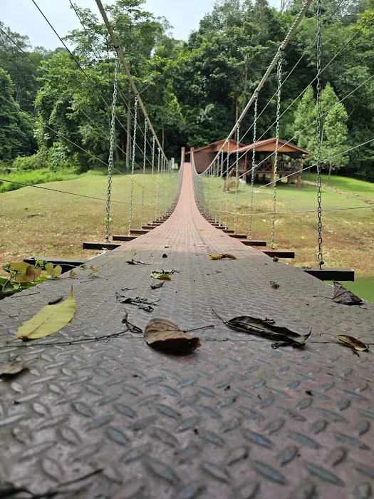 Hanging Bridge Of Sungai Papan Picture 3
