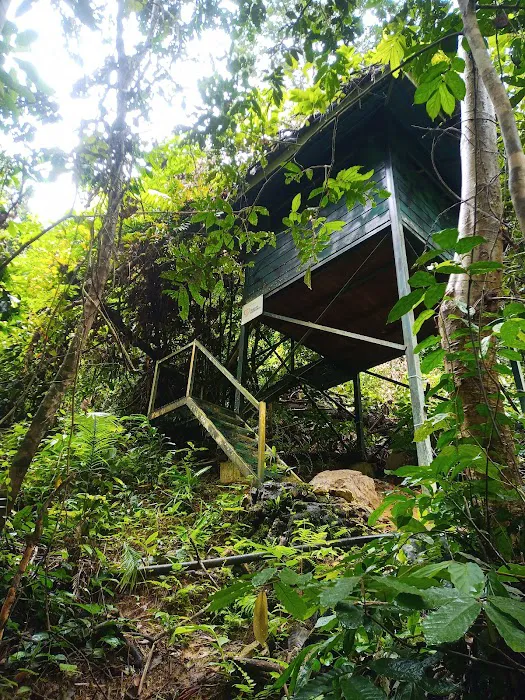 Hanging Bridge Of Sungai Papan Picture 6
