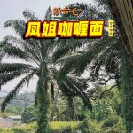 KKB Mama Curry Mee凤姐咖喱面