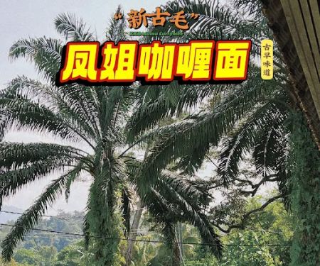 KKB Mama Curry Mee凤姐咖喱面