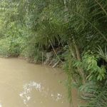 Jeram Kopeh