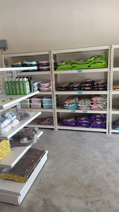 My Bulus Pet Shop Picture 1