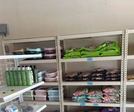 My Bulus Pet Shop