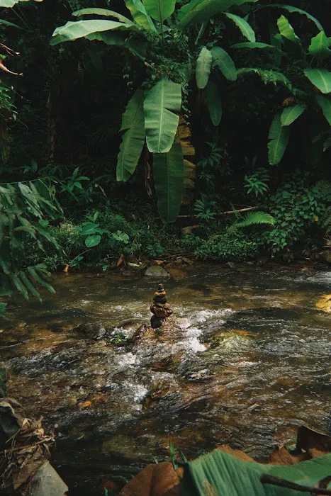 Village River Hill Picture 7