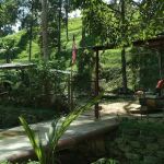 Kebun Haji Jalil