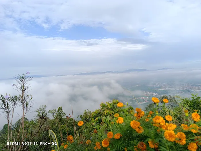 Bukit Taisho Starting Point Picture 7