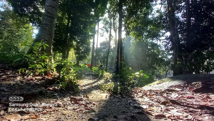Sungai Dara Picture 1