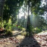 Sungai Dara
