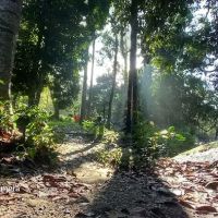 Sungai Dara ico