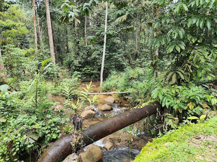 Sungai Dara Picture 4