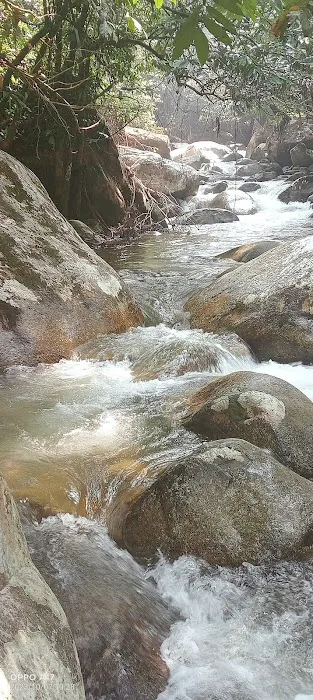 Resort TSR Picture 5