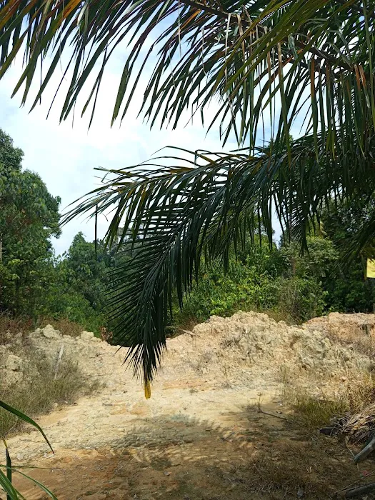CP1 Bukit Besar Picture 9