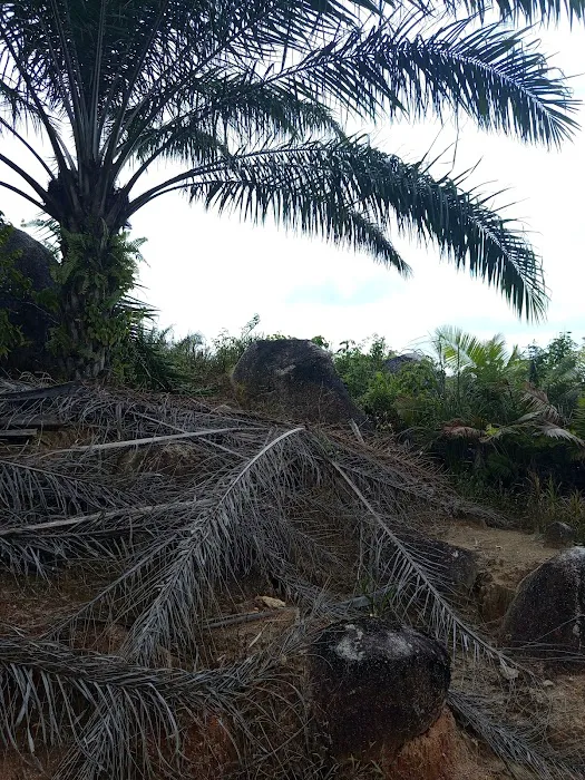 CP1 Bukit Besar Picture 4