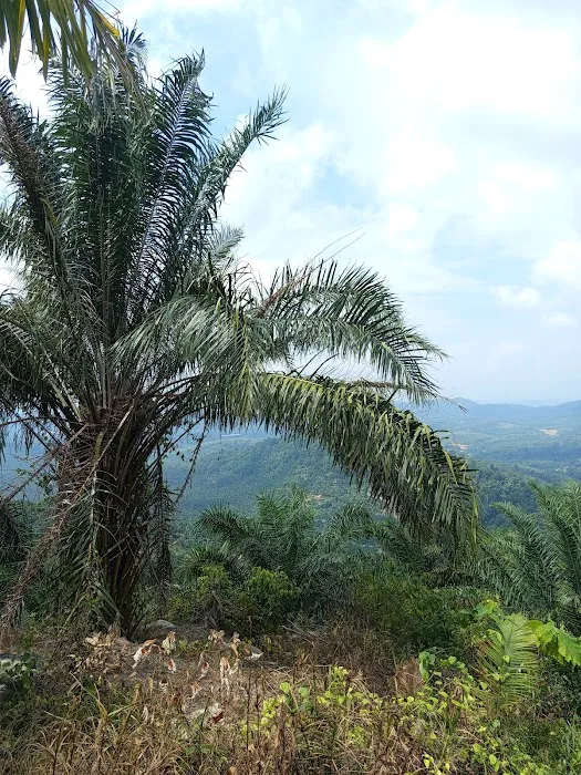 CP1 Bukit Besar Picture 10