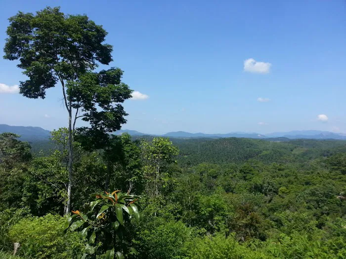 Puncak Kepis / Point Kepis Picture 10