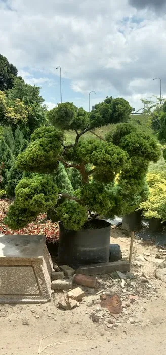 Pembekal utama rumput murah sg.buloh Picture 1