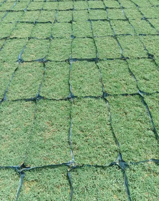 Pembekal utama rumput murah sg.buloh Picture 5