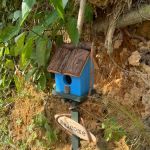 Impian Indah Birdhouse