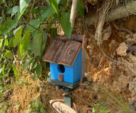 Impian Indah Birdhouse