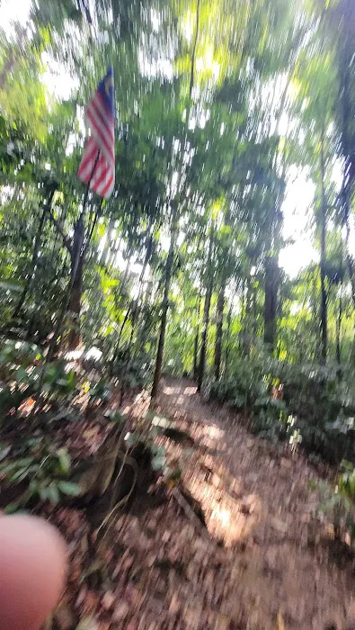 Halfway Trail Bukit Pelindung Picture 4