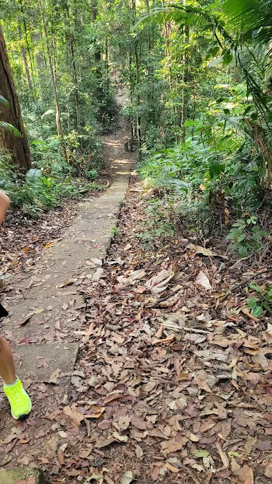 Halfway Trail Bukit Pelindung Picture 3