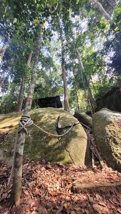 Halfway Trail Bukit Pelindung Picture 10