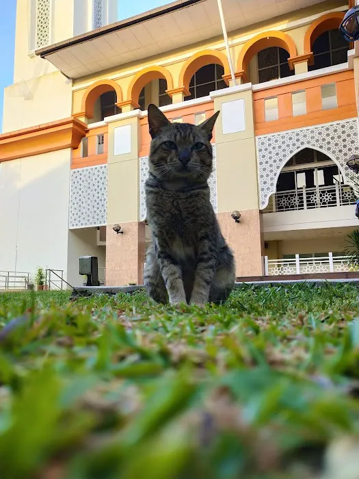 Masjid Darul Quran JAKIM Picture 7