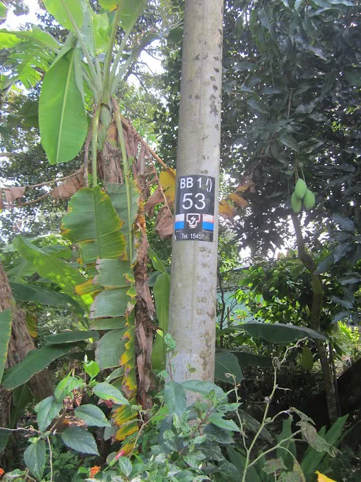 Pondoque Le Ngaju Picture 10