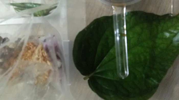 Miang Kham Arimas Picture 4