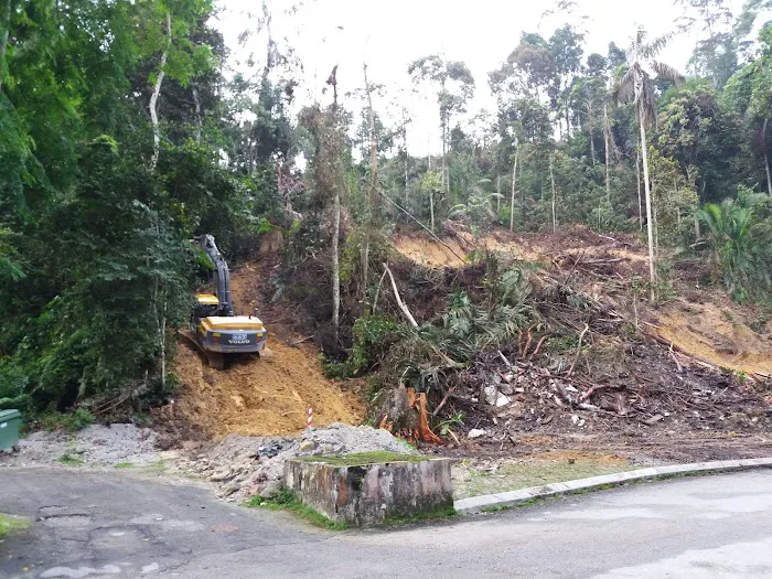 Hutan Lipur Ampang Picture 15