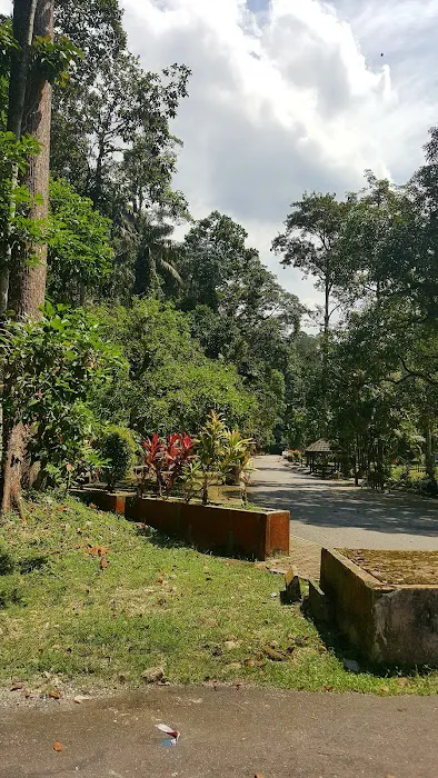 Hutan Lipur Ampang Picture 12