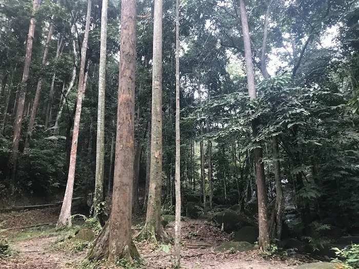 Hutan Lipur Ampang Picture 14