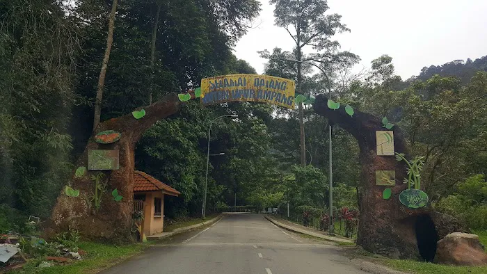 Hutan Lipur Ampang Picture 13