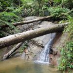 Bukit Kembara Trailhead