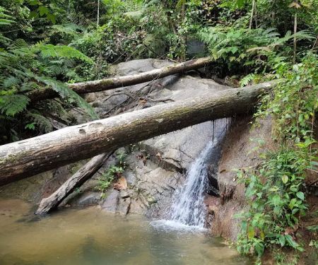 Bukit Kembara Trailhead
