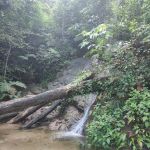 Bukit Indah Ampang (Trailhead)