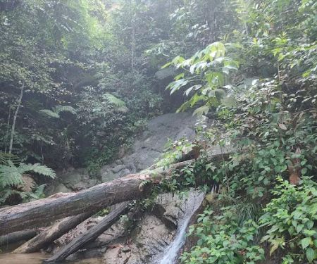 Bukit Indah Ampang (Trailhead)
