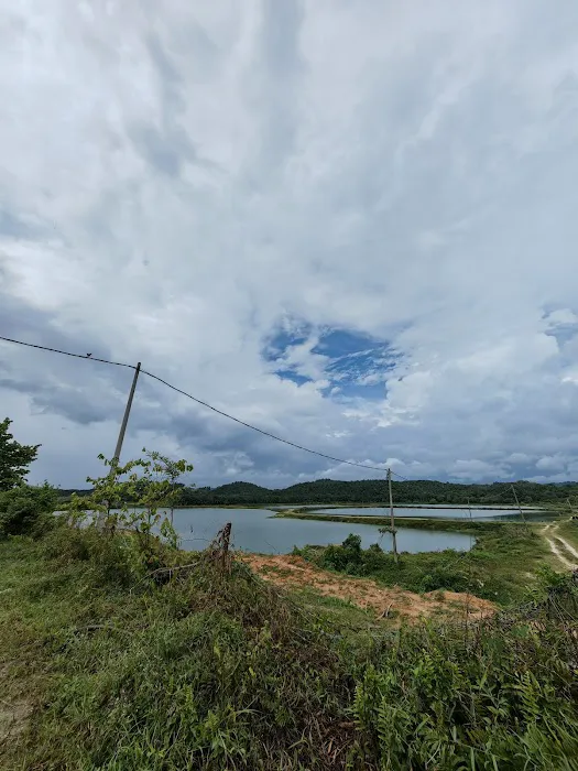 Kg Dusun Harmonis Picture 4