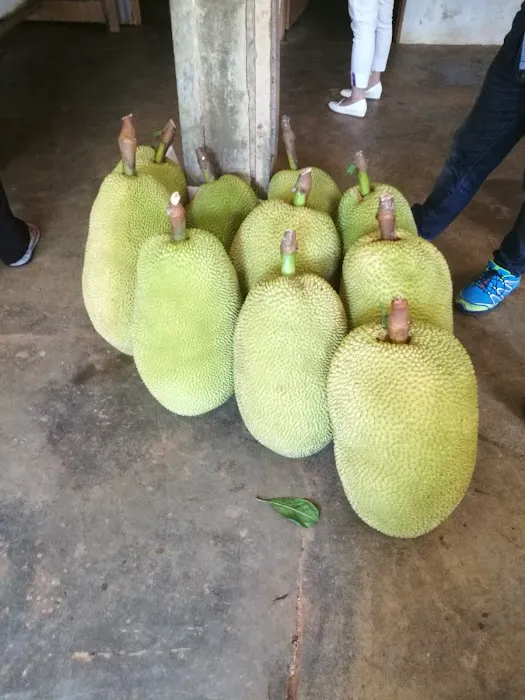 HM Khoo Fruit Farm Picture 1