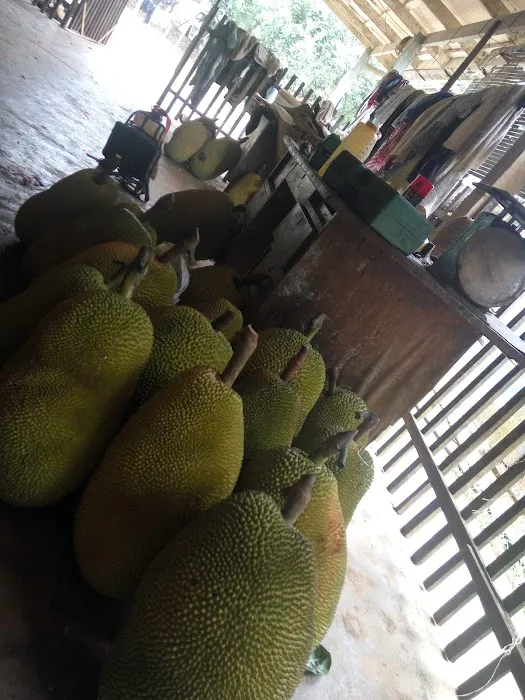 HM Khoo Fruit Farm Picture 6