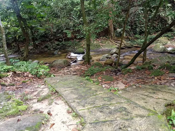 Sungai Tua Recreational Forest Picture 5