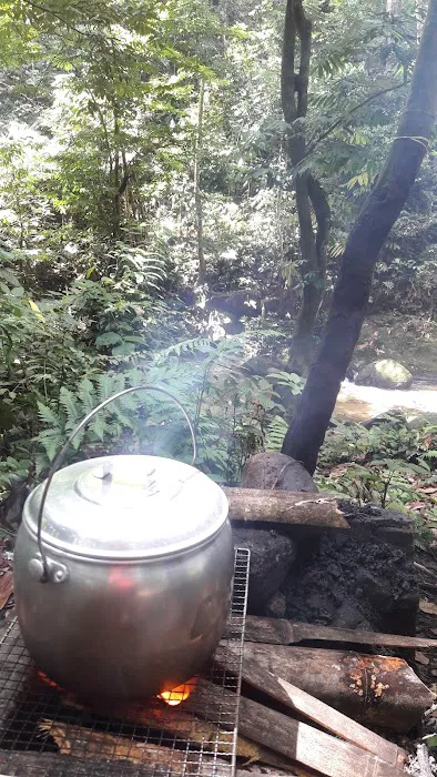 Sungai Tua Recreational Forest Picture 3