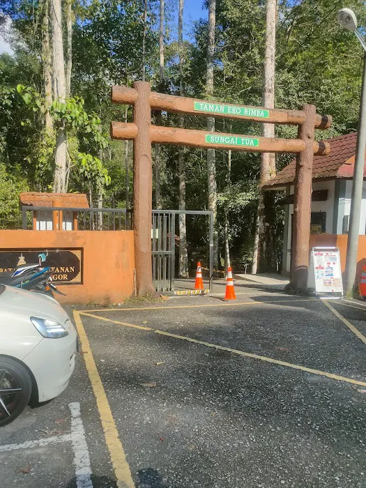 Sungai Tua Recreational Forest Picture 10