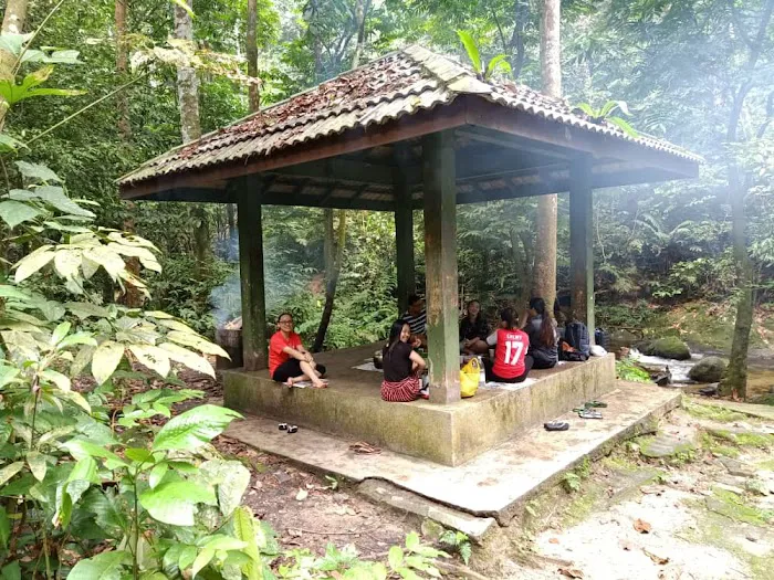 Sungai Tua Recreational Forest Picture 6