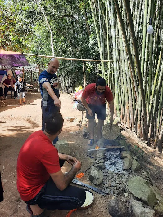 Bamboo Park Picture 6