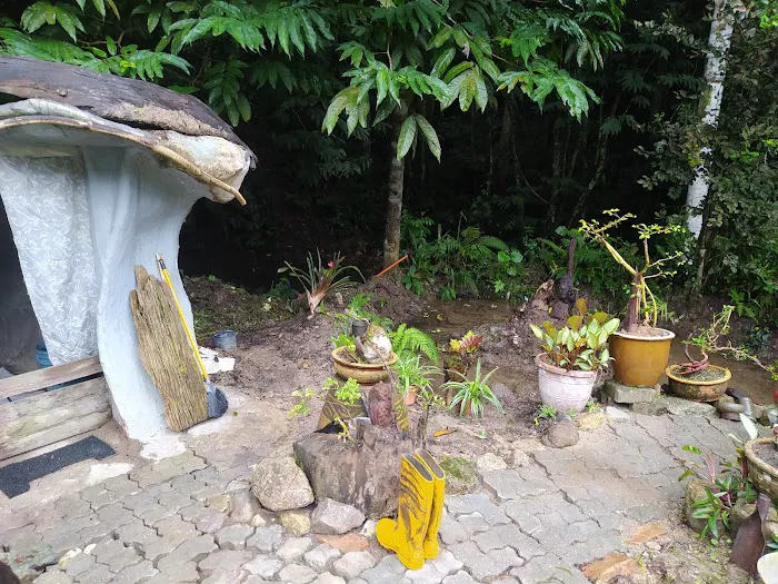 Bamboo Park Picture 3