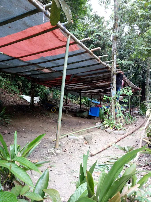 Bamboo Park Picture 10